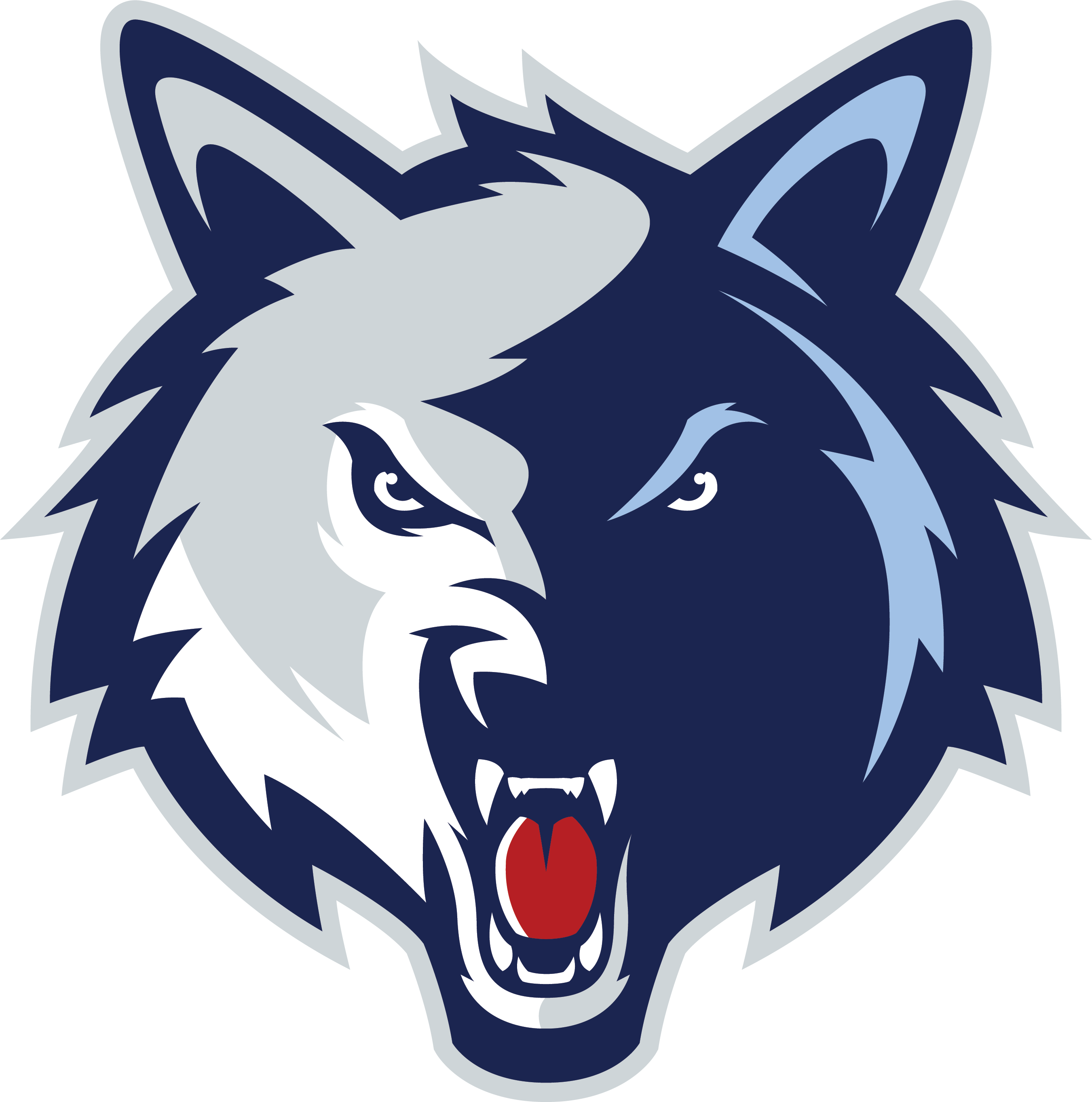 Structure - Newsome Wolves Football